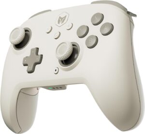 BIGBIG WON CHOCO Switch 2 Proコントローラー
